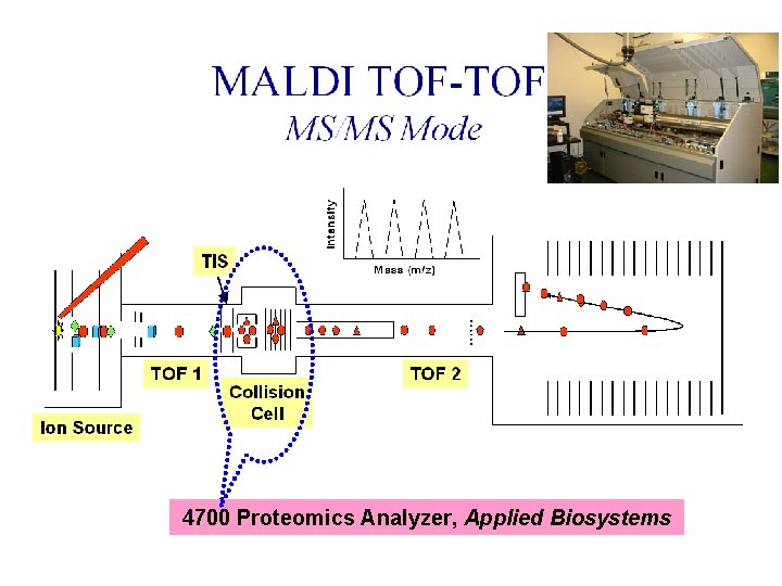 Tandem MS 4700 Proteomics Analyzer, Applied Biosystems 