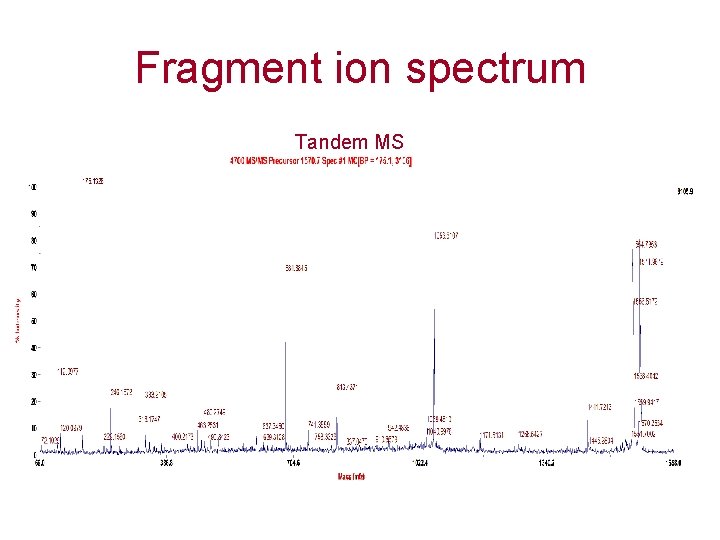 Fragment ion spectrum Tandem MS 