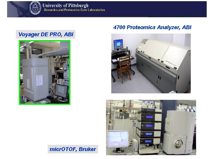 4700 Proteomics Analyzer, ABI Voyager DE PRO, ABI micr. OTOF, Bruker 