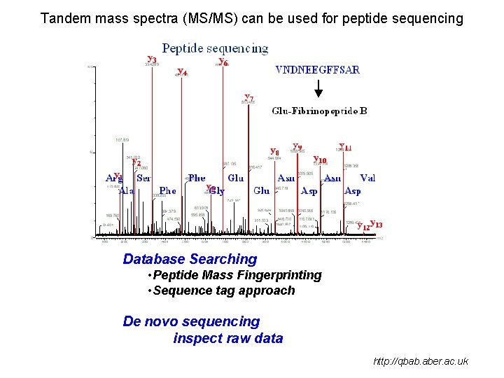 Tandem mass spectra (MS/MS) can be used for peptide sequencing Database Searching • Peptide