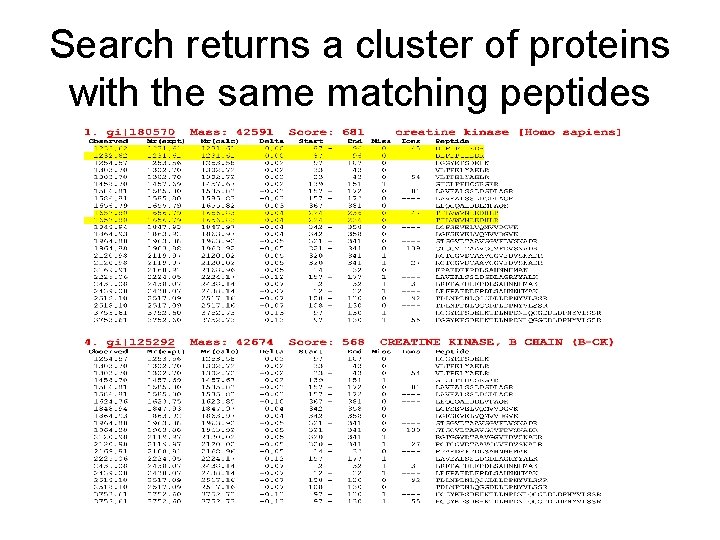 Search returns a cluster of proteins with the same matching peptides 