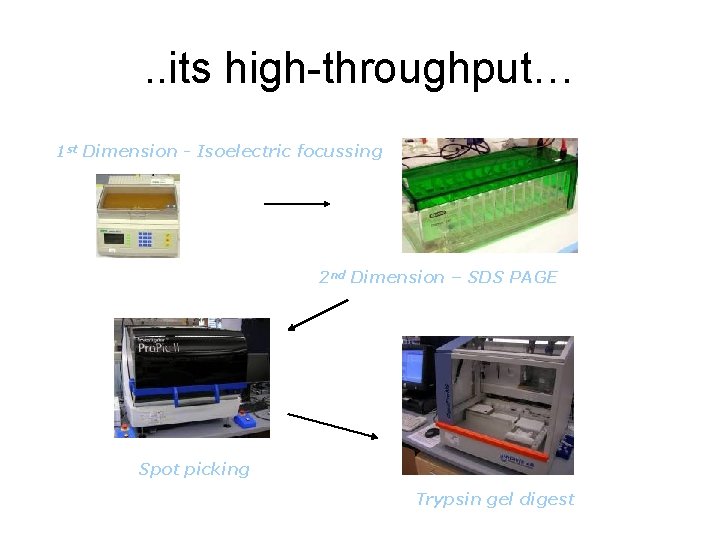 . . its high-throughput… 1 st Dimension - Isoelectric focussing 2 nd Dimension –