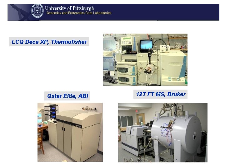 LCQ Deca XP, Thermofisher Qstar Elite, ABI 12 T FT MS, Bruker 