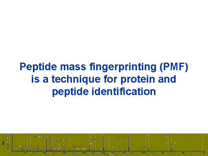 Peptide mass fingerprinting (PMF) is a technique for protein and peptide identification 