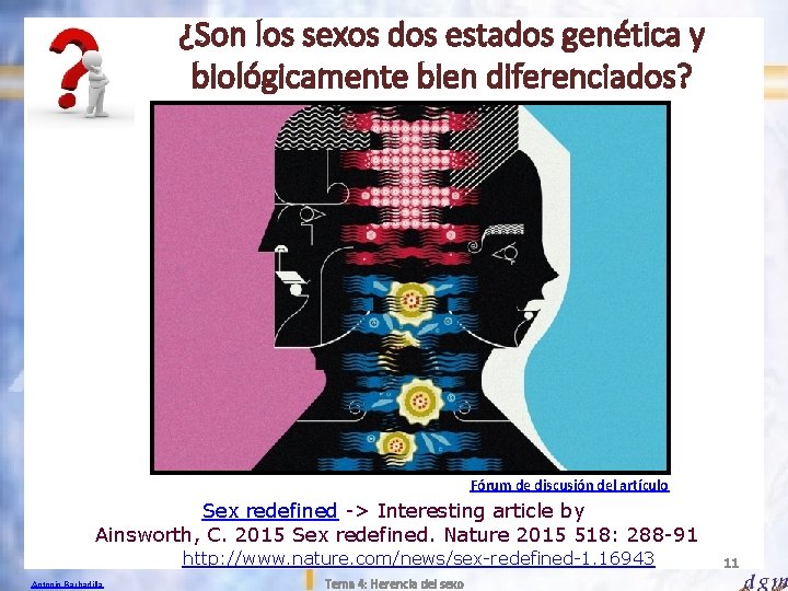 ¿Son los sexos dos estados genética y biológicamente bien diferenciados? Fórum de discusión del