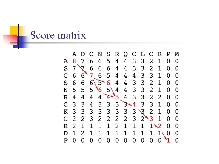 Score matrix 