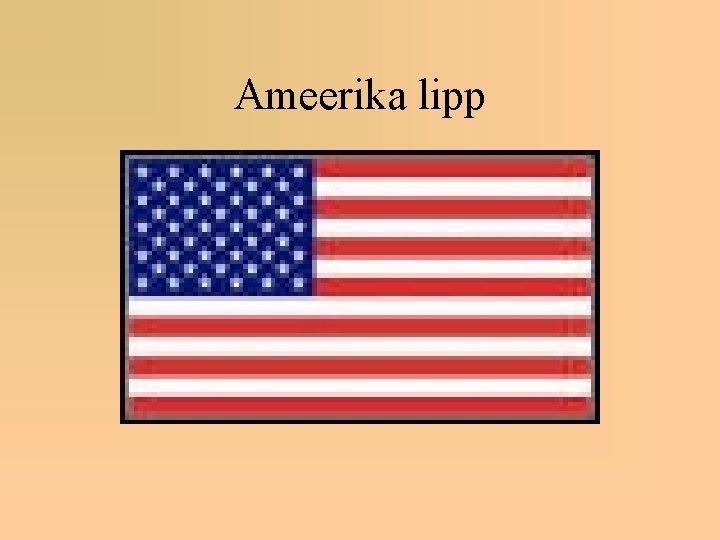 Ameerika lipp 