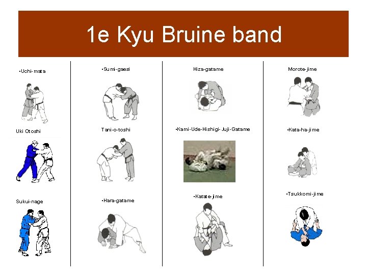 1 e Kyu Bruine band • Uchi-mata Uki Otoshi Sukui-nage • Sumi-gaesi Tani-o-toshi •