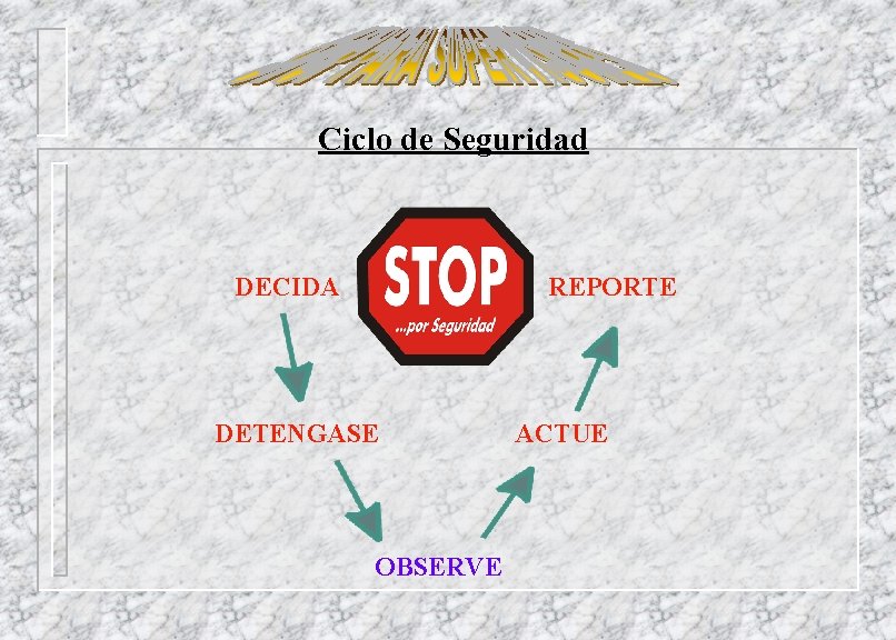 Ciclo de Seguridad DECIDA REPORTE DETENGASE OBSERVE ACTUE 