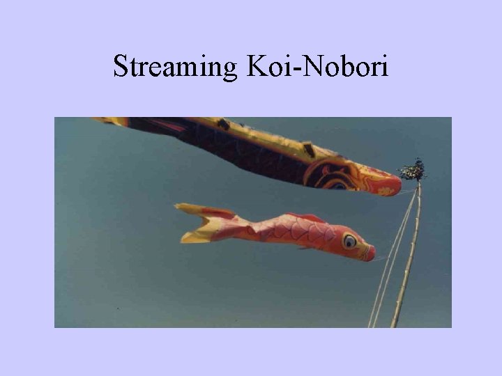 Streaming Koi-Nobori 