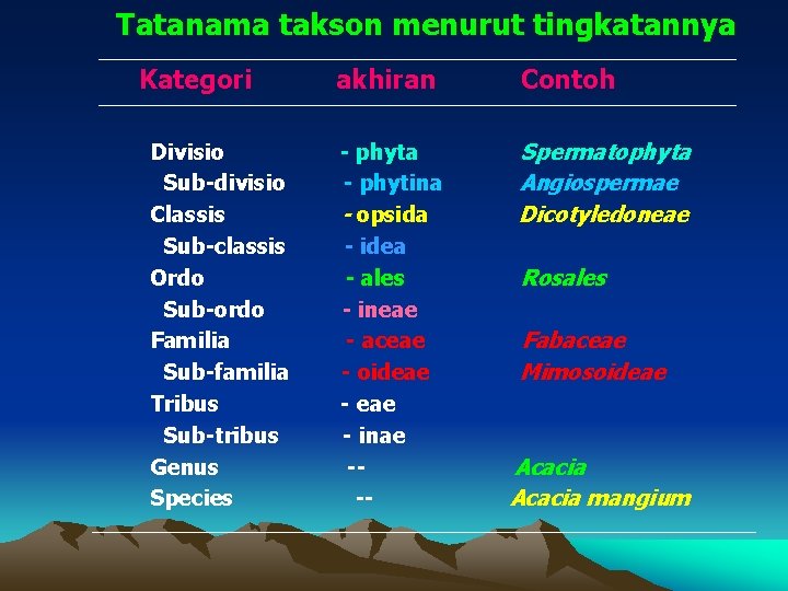 Tatanama takson menurut tingkatannya Kategori Divisio Sub-divisio Classis Sub-classis Ordo Sub-ordo Familia Sub-familia Tribus