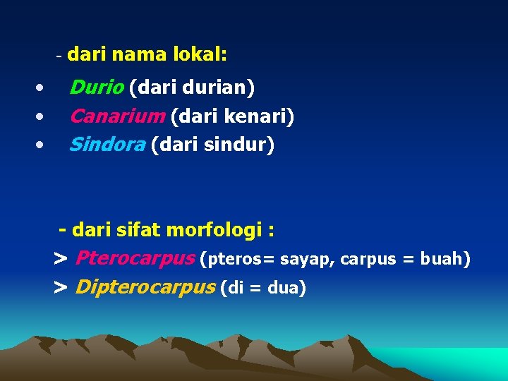 - dari nama lokal: • • • Durio (dari durian) Canarium (dari kenari) Sindora
