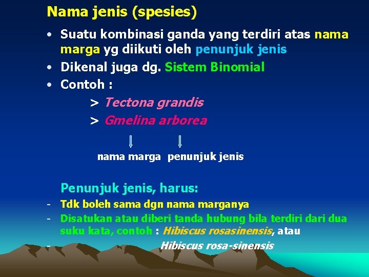 Nama jenis (spesies) • Suatu kombinasi ganda yang terdiri atas nama marga yg diikuti