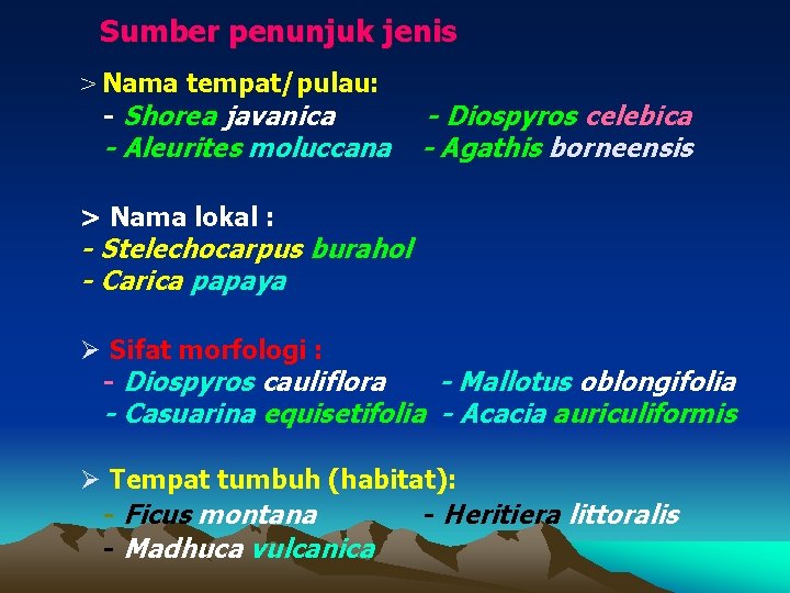 Sumber penunjuk jenis > Nama tempat/pulau: - Shorea javanica - Aleurites moluccana - Diospyros
