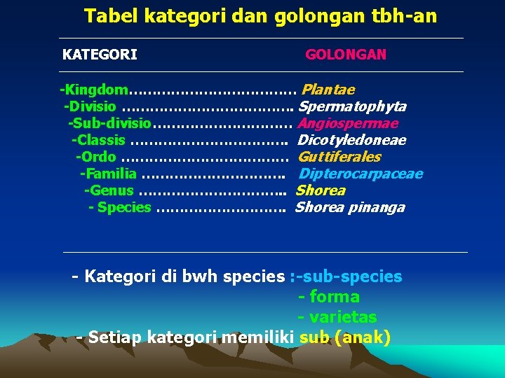 Tabel kategori dan golongan tbh-an KATEGORI GOLONGAN -Kingdom……………… Plantae -Divisio ………………. Spermatophyta -Sub-divisio…………… Angiospermae
