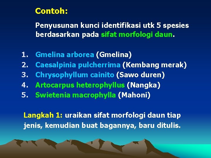 Contoh: Penyusunan kunci identifikasi utk 5 spesies berdasarkan pada sifat morfologi daun. 1. 2.