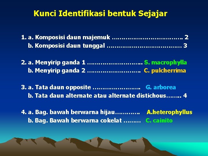 Kunci Identifikasi bentuk Sejajar 1. a. Komposisi daun majemuk ………………. 2 b. Komposisi daun