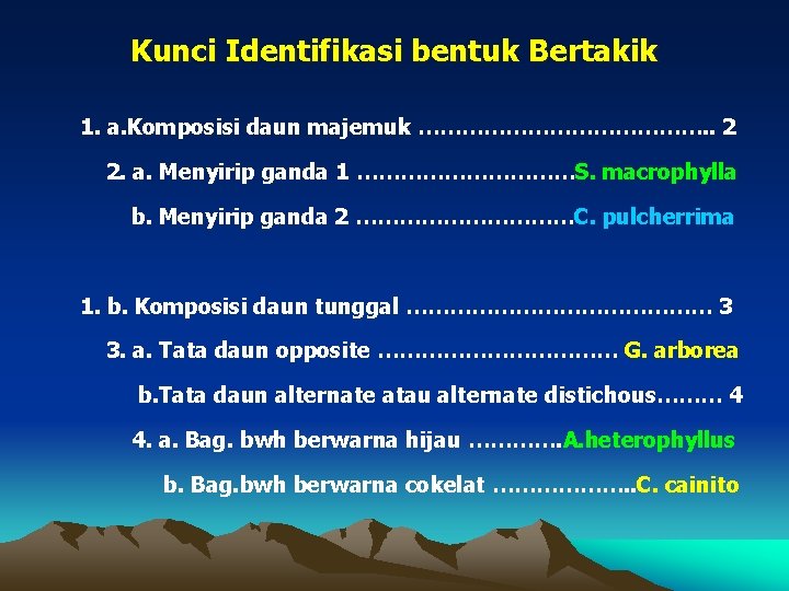 Kunci Identifikasi bentuk Bertakik 1. a. Komposisi daun majemuk …………………. . 2 2. a.