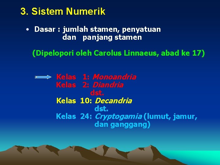 3. Sistem Numerik • Dasar : jumlah stamen, penyatuan dan panjang stamen (Dipelopori oleh