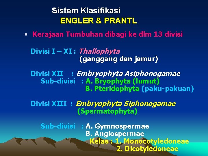 Sistem Klasifikasi ENGLER & PRANTL • Kerajaan Tumbuhan dibagi ke dlm 13 divisi Divisi