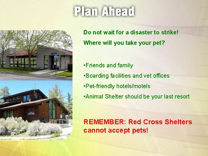 Do not wait for a disaster to strike! Where will you take your pet?