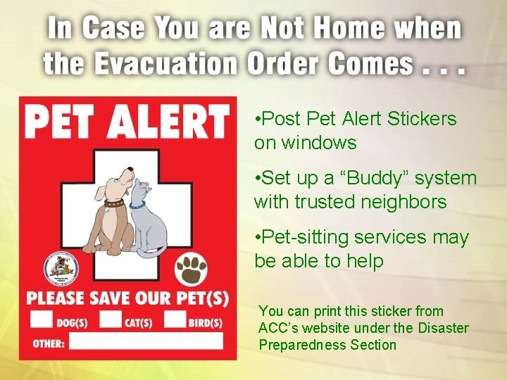  • Post Pet Alert Stickers on windows • Set up a “Buddy” system