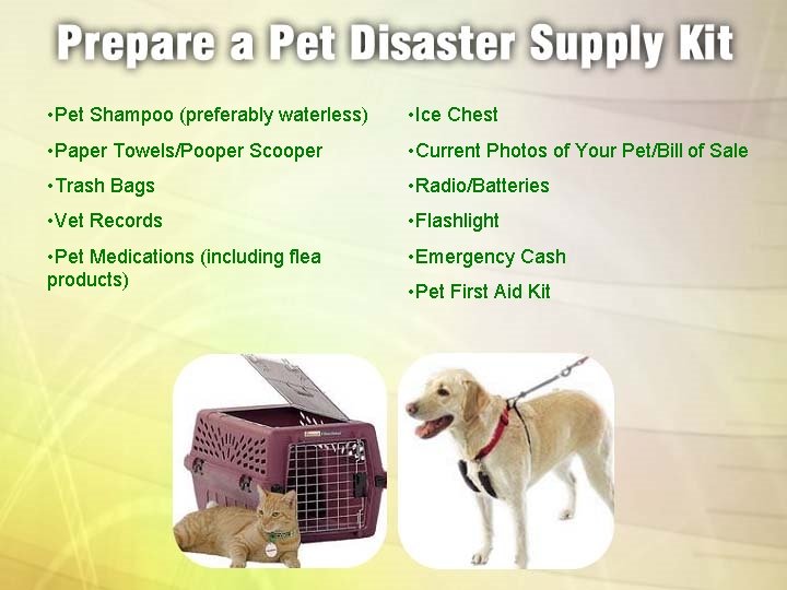  • Pet Shampoo (preferably waterless) • Ice Chest • Paper Towels/Pooper Scooper •