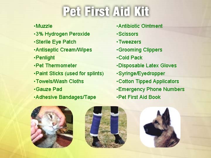  • Muzzle • 3% Hydrogen Peroxide • Sterile Eye Patch • Antiseptic Cream/Wipes