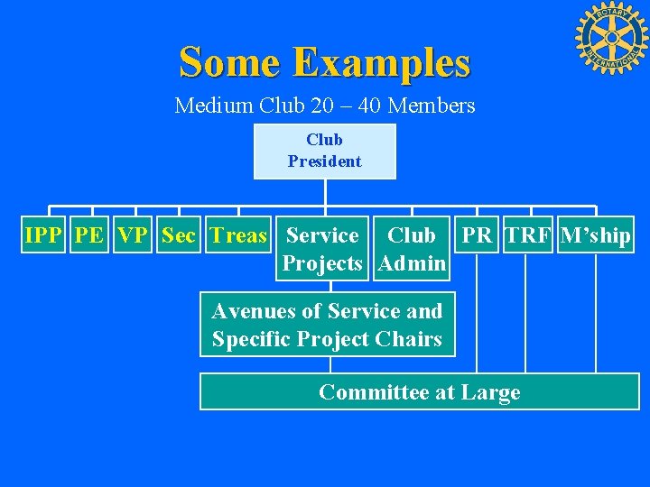 Some Examples Medium Club 20 – 40 Members Club President IPP PE VP Sec
