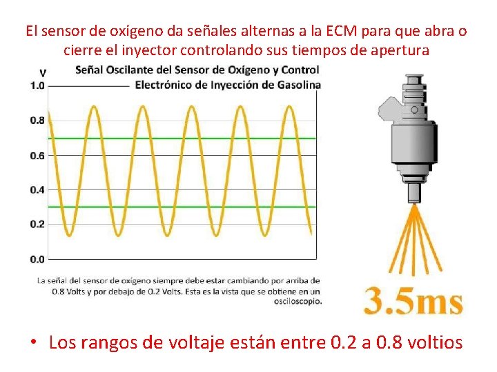 El sensor de oxígeno da señales alternas a la ECM para que abra o