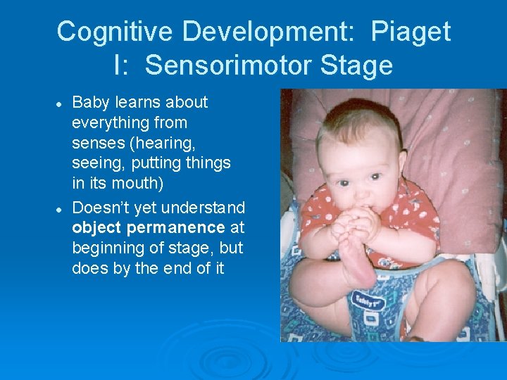 Cognitive Development: Piaget I: Sensorimotor Stage l l Baby learns about everything from senses