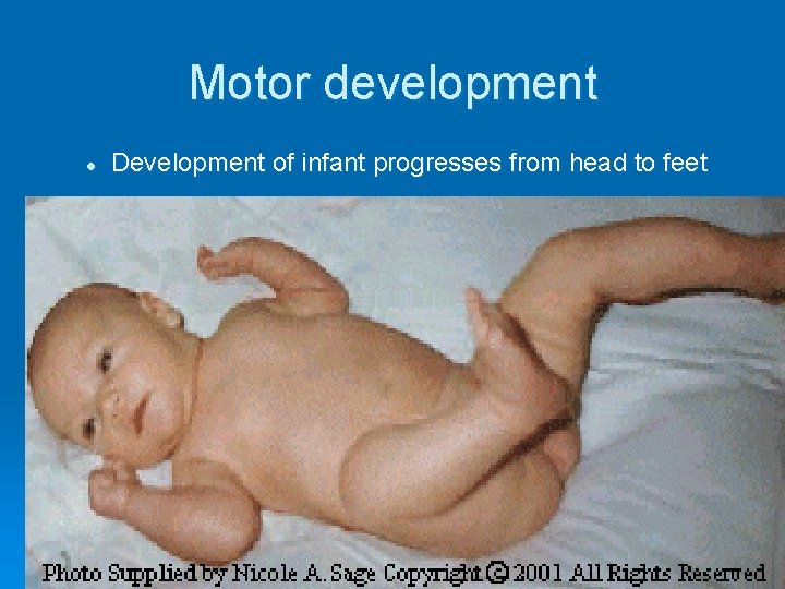 Motor development l Development of infant progresses from head to feet 