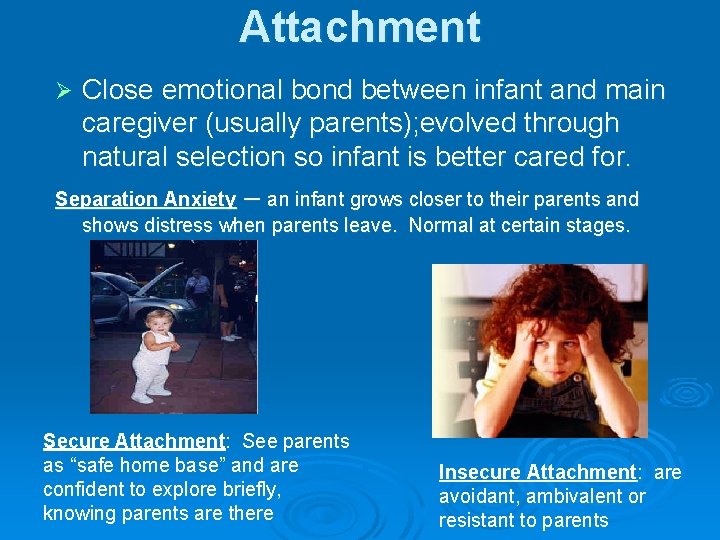 Attachment Close emotional bond between infant and main caregiver (usually parents); evolved through natural