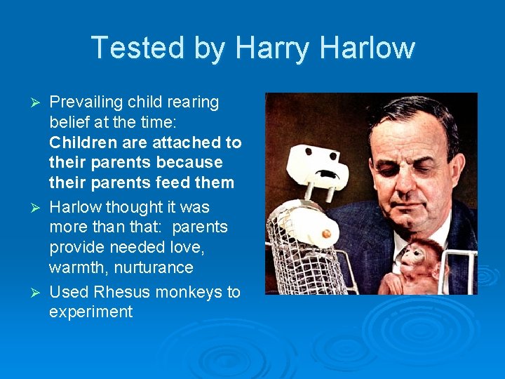 Tested by Harry Harlow Prevailing child rearing belief at the time: Children are attached