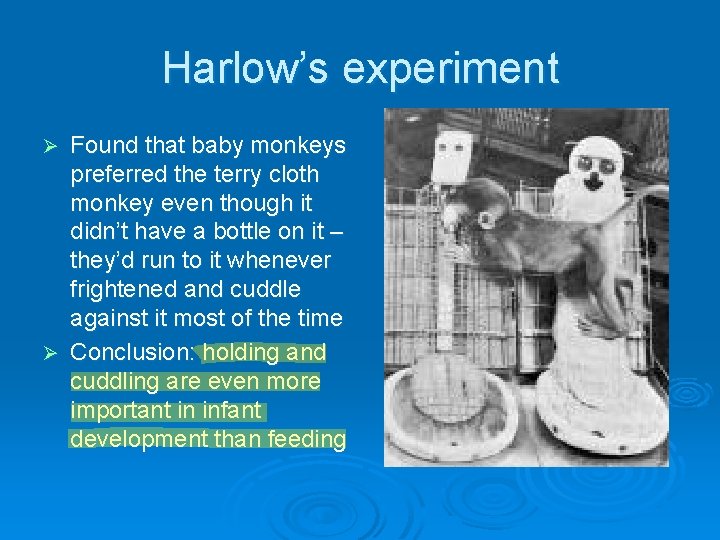 Harlow’s experiment Found that baby monkeys preferred the terry cloth monkey even though it