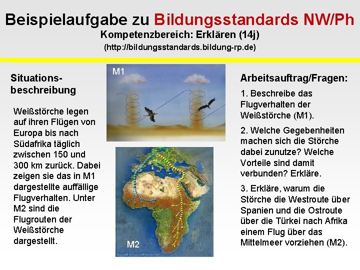 Beispielaufgabe zu Bildungsstandards NW/Ph Kompetenzbereich: Erklären (14 j) (http: //bildungsstandards. bildung-rp. de) Situationsbeschreibung Weißstörche