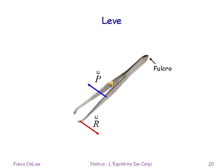 Leve Fulcro Fisica On. Line Statica - L'Equilibrio Dei Corpi 20 