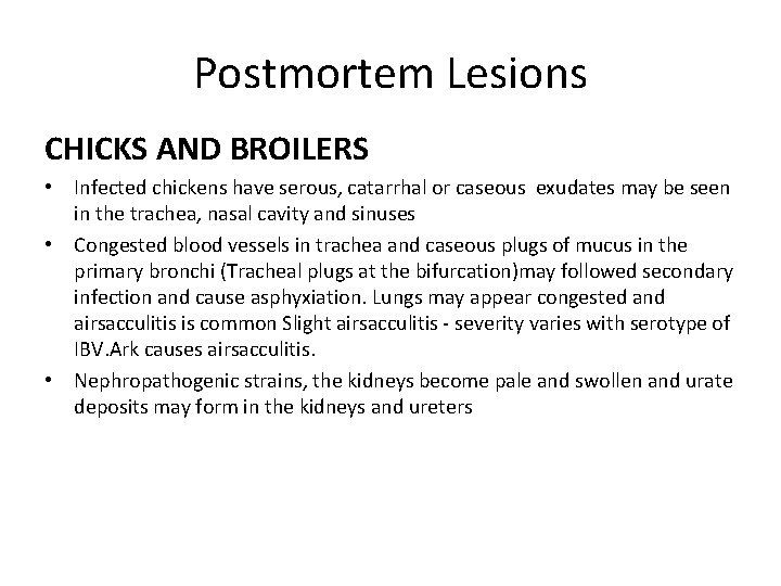 Postmortem Lesions CHICKS AND BROILERS • Infected chickens have serous, catarrhal or caseous exudates