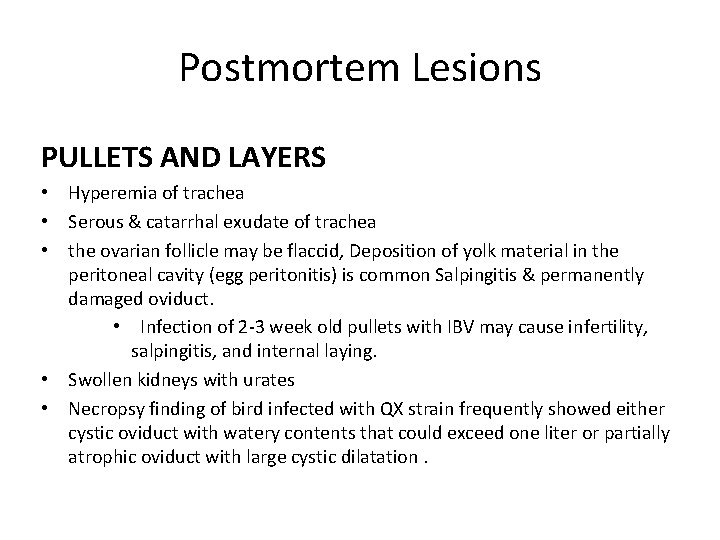 Postmortem Lesions PULLETS AND LAYERS • Hyperemia of trachea • Serous & catarrhal exudate