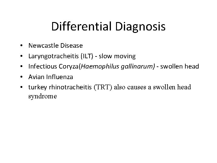Differential Diagnosis • • • Newcastle Disease Laryngotracheitis (ILT) - slow moving Infectious Coryza(Haemophilus