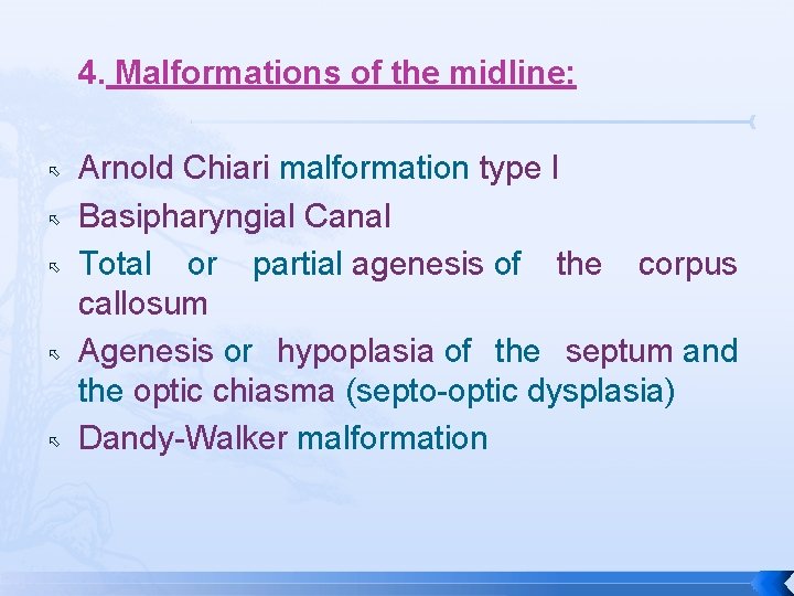 4. Malformations of the midline: Arnold Chiari malformation type I Basipharyngial Canal Total or