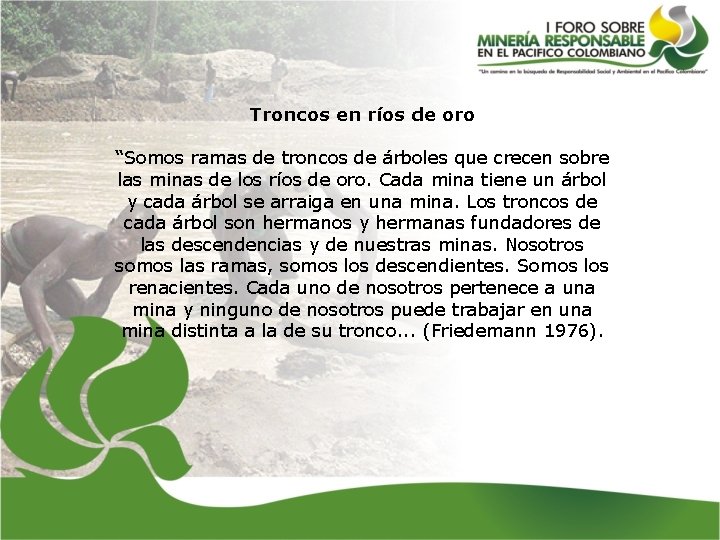 Troncos en ríos de oro “Somos ramas de troncos de árboles que crecen sobre