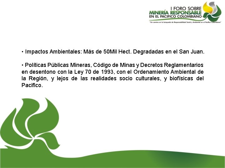  • Impactos Ambientales: Más de 50 Mil Hect. Degradadas en el San Juan.