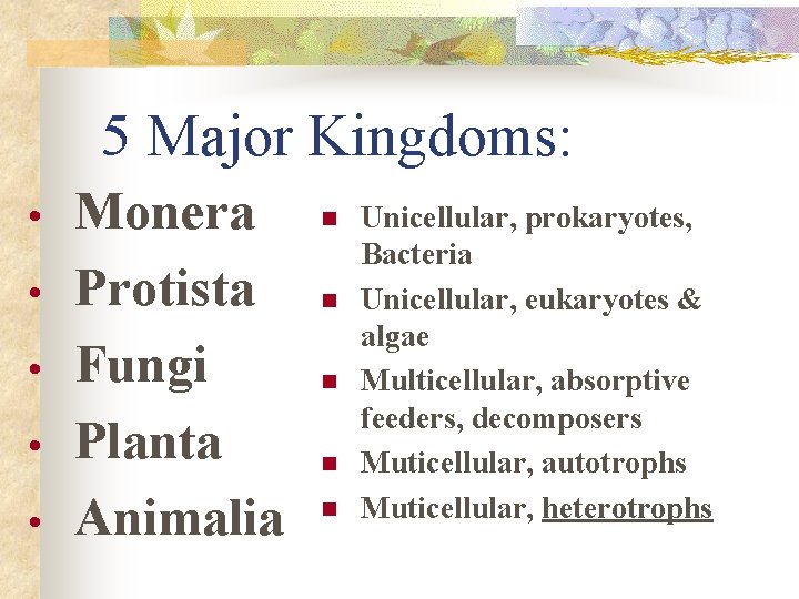 5 Major Kingdoms: • • • Monera Protista Fungi Planta Animalia n n n