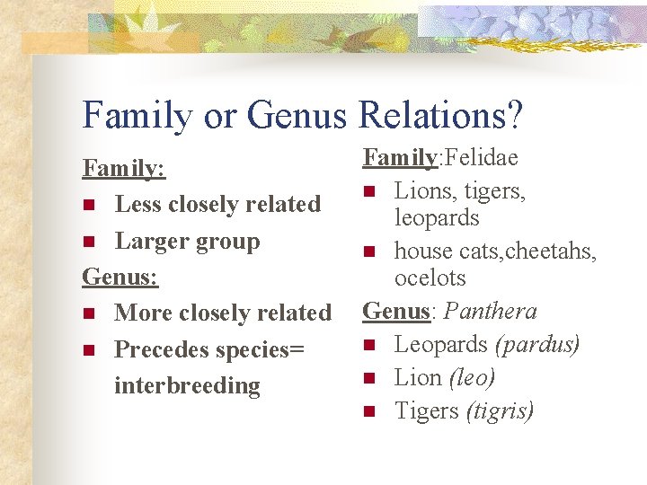 Family or Genus Relations? Family: n Less closely related n Larger group Genus: n