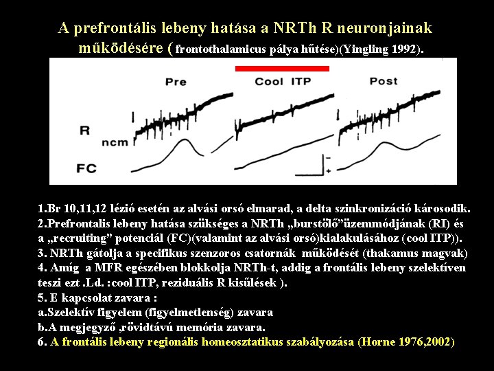 A prefrontális lebeny hatása a NRTh R neuronjainak működésére ( frontothalamicus pálya hűtése)(Yingling 1992).