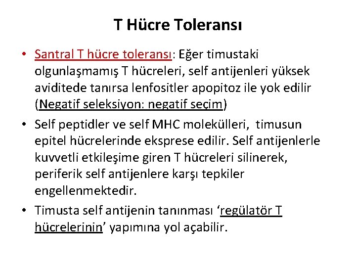 T Hücre Toleransı • Santral T hücre toleransı: Eğer timustaki olgunlaşmamış T hücreleri, self