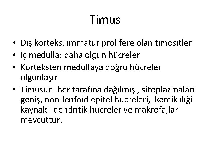 Timus • Dış korteks: immatür prolifere olan timositler • İç medulla: daha olgun hücreler