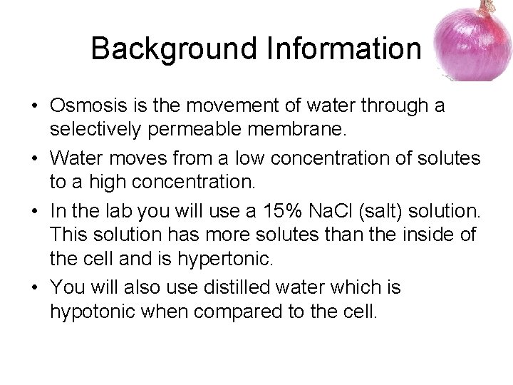 Lab 7 Osmosis in Onion Cells Purpose To