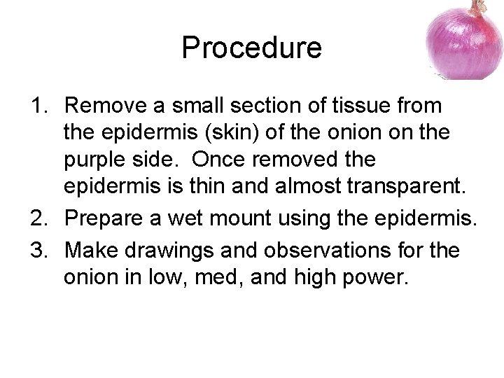 Lab 7 Osmosis in Onion Cells Purpose To